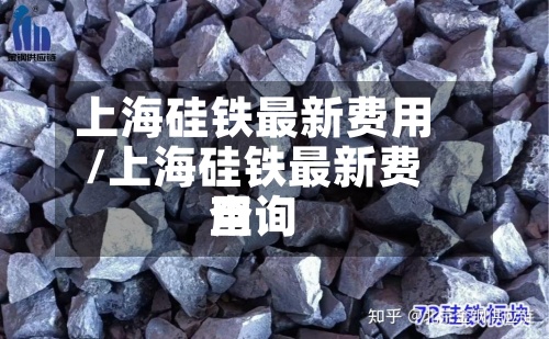 上海硅铁最新费用/上海硅铁最新费用查询