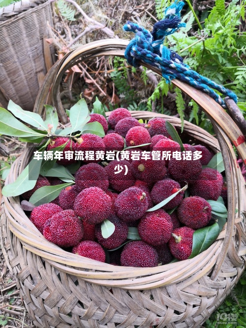 车辆年审流程黄岩(黄岩车管所电话多少)