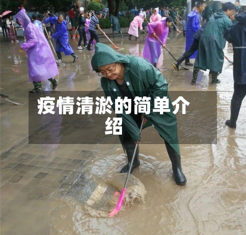 疫情清淤的简单介绍-第2张图片