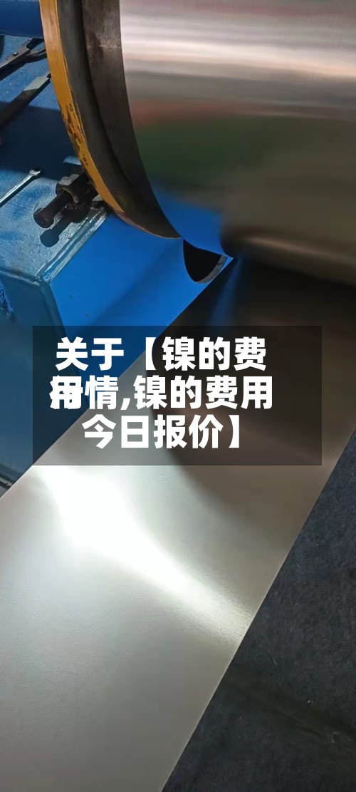 关于【镍的费用行情,镍的费用今日报价】-第2张图片