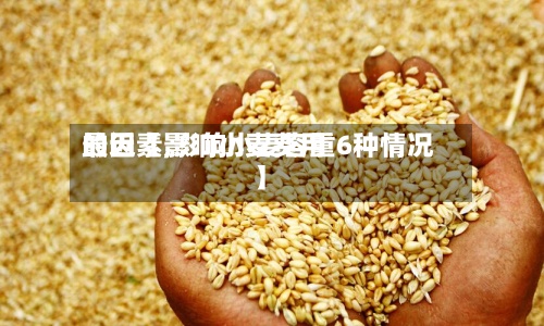 最近【影响小麦费用的因素,影响小麦容重6种情况】