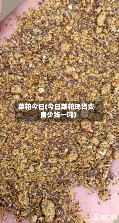 菜粕今日(今日菜粕现货费用多少钱一吨)-第2张图片