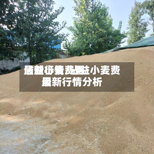 沾益小麦费用最新行情/沾益小麦费用最新行情分析-第2张图片