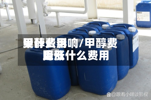 甲醇费用受什么影响/甲醇费用降低什么费用上涨-第2张图片