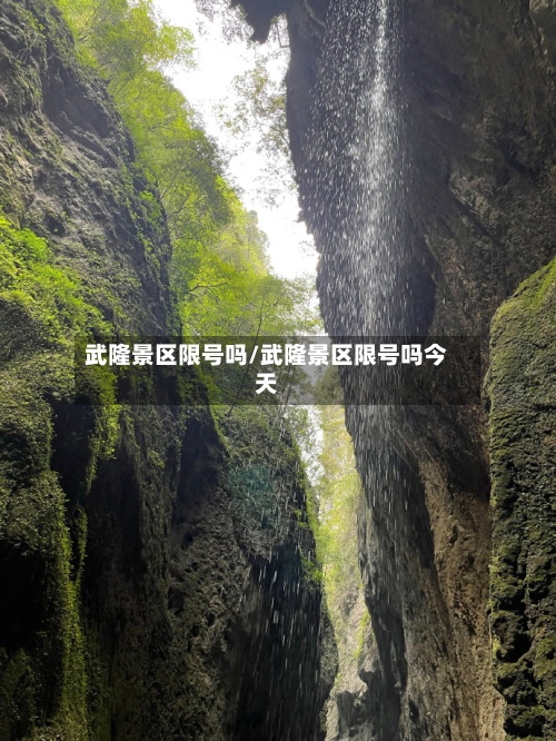 武隆景区限号吗/武隆景区限号吗今天