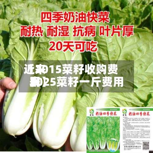 近来【2015菜籽收购费用2025菜籽一斤费用表】-第2张图片