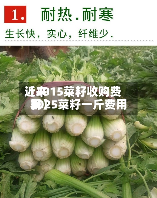 近来【2015菜籽收购费用2025菜籽一斤费用表】-第3张图片
