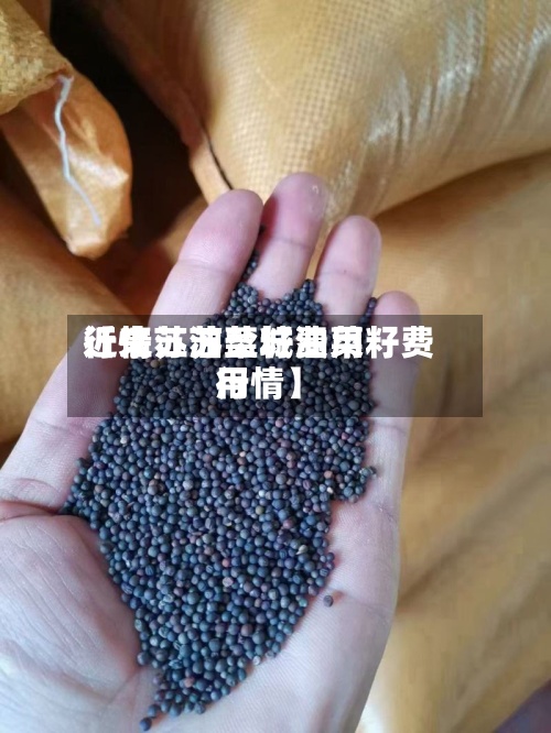 近来【江苏油菜籽费用行情江苏盐城油菜籽费用行情】-第2张图片