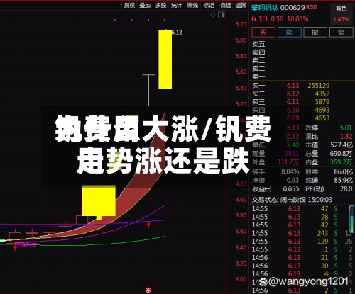 钒费用为什么大涨/钒费用走势涨还是跌-第2张图片