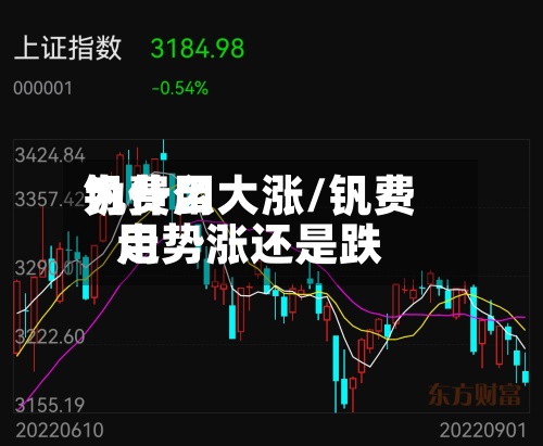 钒费用为什么大涨/钒费用走势涨还是跌