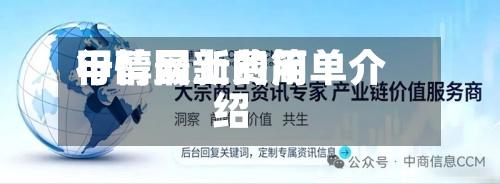 甲醇网上费用行情最新的简单介绍-第2张图片