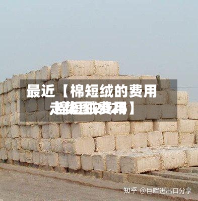 最近【棉短绒的费用,棉短绒费用走势图2025】