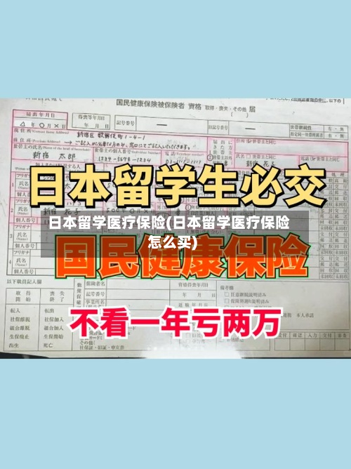日本留学医疗保险(日本留学医疗保险怎么买)-第3张图片