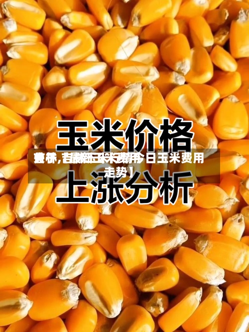 关于【最新玉米费用吉林,吉林玉米行情今日玉米费用走势】-第2张图片