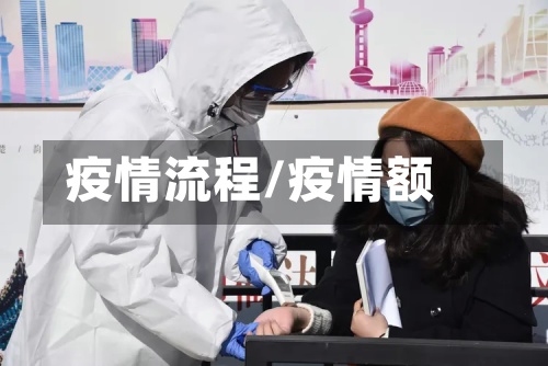 疫情流程/疫情额