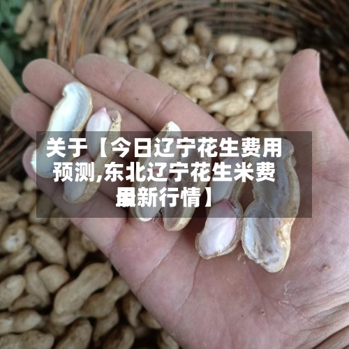 关于【今日辽宁花生费用预测,东北辽宁花生米费用最新行情】