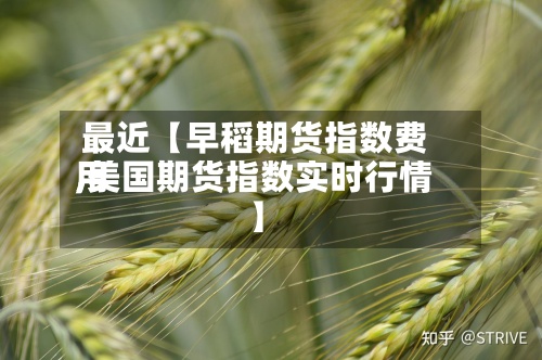 最近【早稻期货指数费用,美国期货指数实时行情】-第2张图片