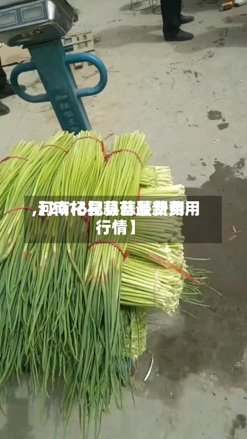 【2016杞县蒜薹费用,河南杞县蒜苔最新费用行情】-第2张图片