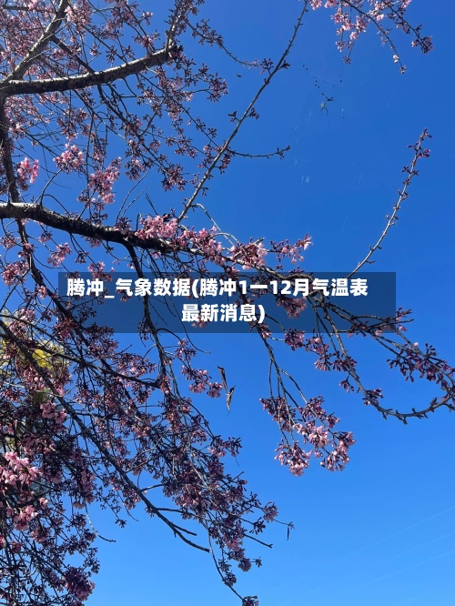 腾冲_气象数据(腾冲1一12月气温表最新消息)