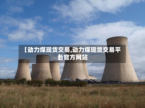 【动力煤现货交易,动力煤现货交易平台官方网站】-第2张图片