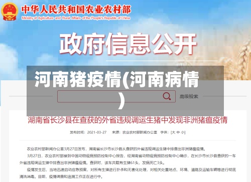 河南猪疫情(河南病情)-第3张图片