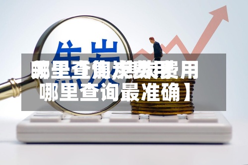 关于【焦炭费用哪里查询,焦炭费用哪里查询最准确】