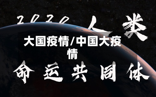 大国疫情/中国大疫情-第2张图片