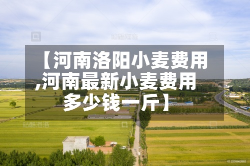 【河南洛阳小麦费用,河南最新小麦费用多少钱一斤】-第2张图片