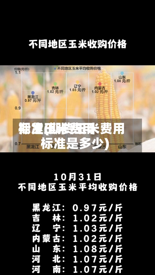 期货玉米费用标准(期货玉米费用标准是多少)