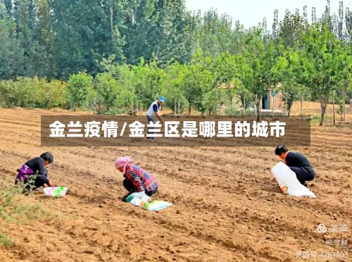 金兰疫情/金兰区是哪里的城市-第2张图片