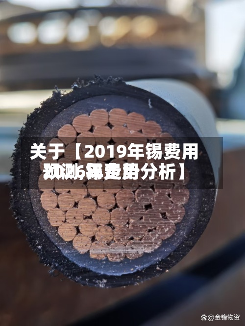 关于【2019年锡费用预测,锡费用2026年走势分析】