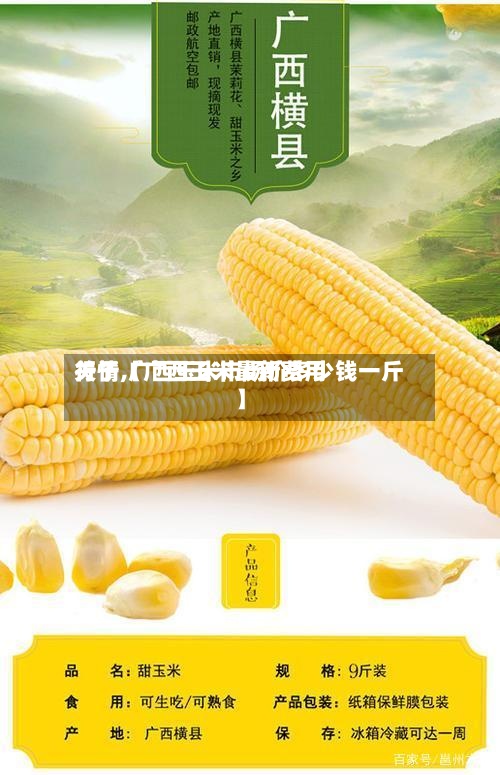 关于【广西玉米最新费用行情,广西玉米市场价多少钱一斤】