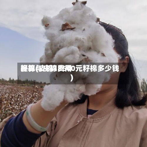 籽棉与皮棉费用换算(皮棉18600元籽棉多少钱)