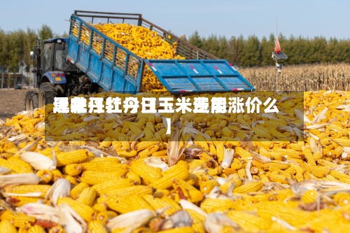 近来【牡丹江今日玉米费用黑龙江牡丹江玉米还能涨价么】-第2张图片