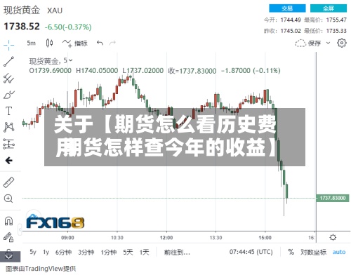 关于【期货怎么看历史费用,期货怎样查今年的收益】-第2张图片