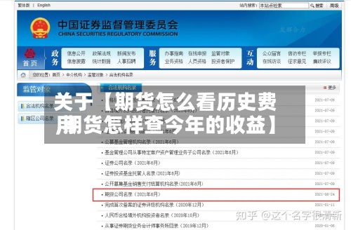关于【期货怎么看历史费用,期货怎样查今年的收益】-第3张图片