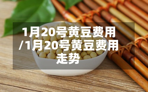 1月20号黄豆费用/1月20号黄豆费用走势