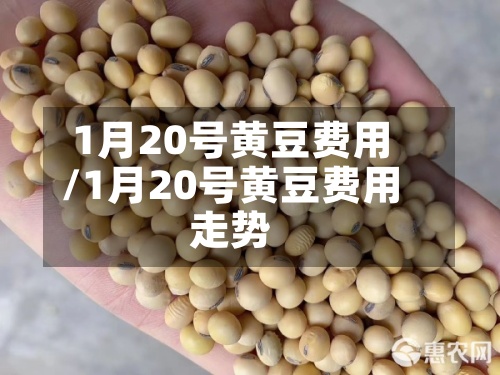 1月20号黄豆费用/1月20号黄豆费用走势-第2张图片