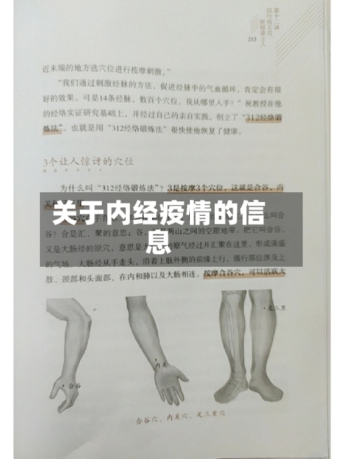 关于内经疫情的信息