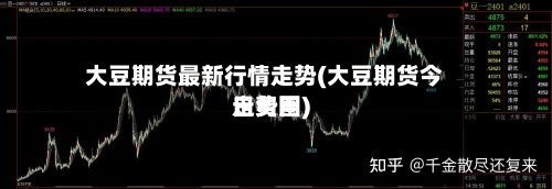 大豆期货最新行情走势(大豆期货今日费用走势图)-第2张图片