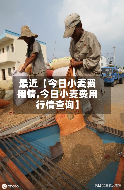 最近【今日小麦费用行情,今日小麦费用行情查询】