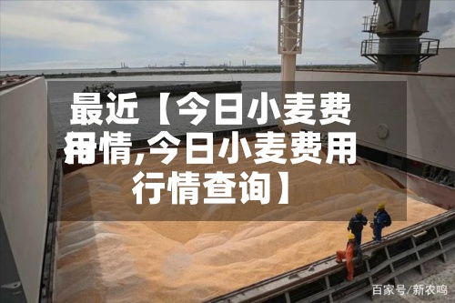 最近【今日小麦费用
行情,今日小麦费用
行情查询】-第2张图片