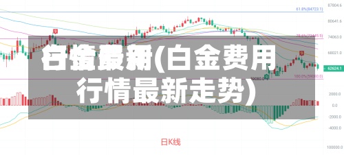 白金费用行情最新(白金费用行情最新走势)-第3张图片