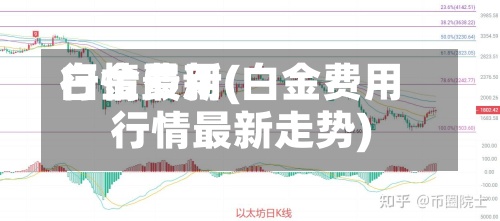 白金费用行情最新(白金费用行情最新走势)-第2张图片