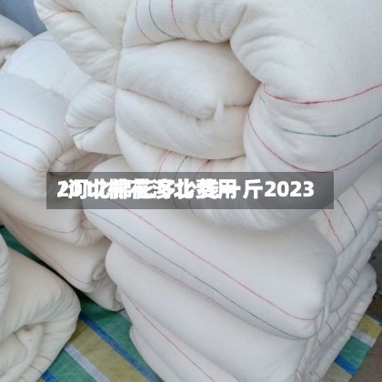2017棉花河北费用/河北棉花多少钱一斤2023-第2张图片