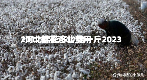 2017棉花河北费用/河北棉花多少钱一斤2023-第3张图片