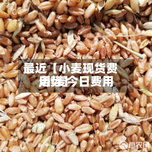 最近【小麦现货费用,小麦今日费用走势】