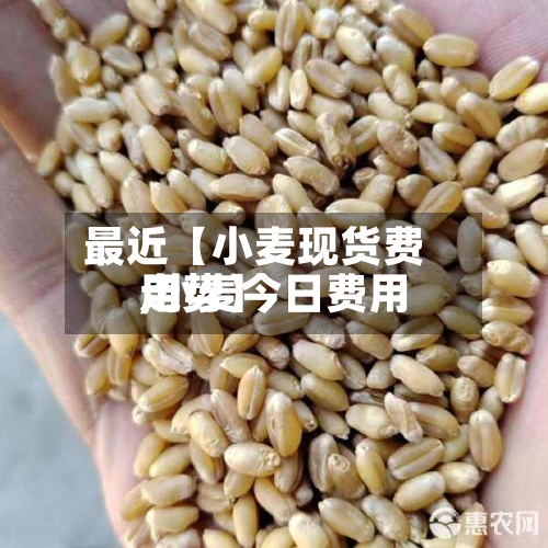 最近【小麦现货费用,小麦今日费用走势】-第2张图片