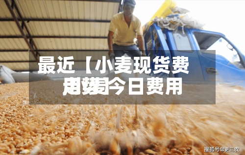 最近【小麦现货费用,小麦今日费用走势】-第3张图片