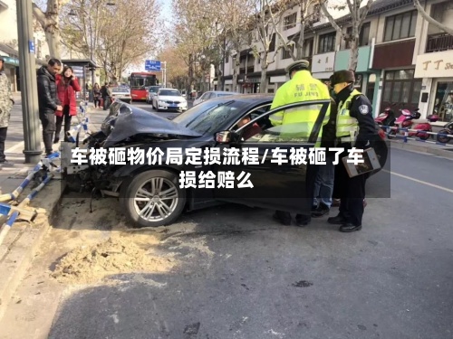 车被砸物价局定损流程/车被砸了车损给赔么